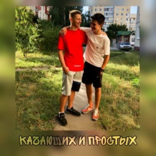 Качающих и простых