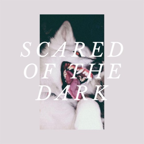 Scared Of The Dark | Boomplay Music