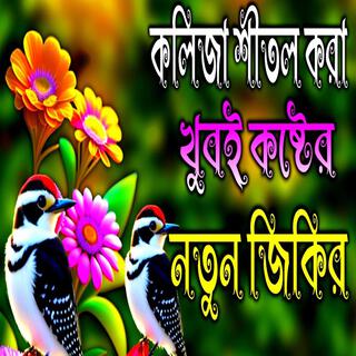 কলিজা শীতল করা খুবই কষ্টের জিকির Bangla Gojol, Gazal, Islamic trending jikir