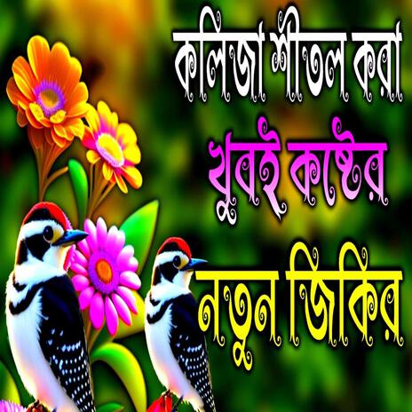 কলিজা শীতল করা খুবই কষ্টের জিকির Bangla Gojol, Gazal, Islamic trending jikir | Boomplay Music