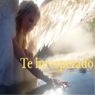 Te he esperado