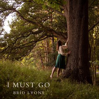 I Must Go lyrics | Boomplay Music