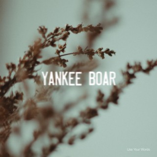 Yankee Boar