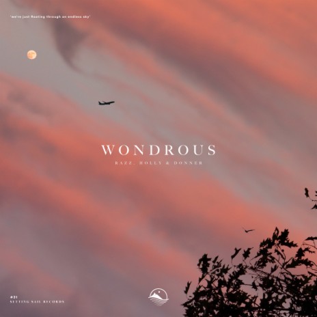 Wondrous ft. Holly & Donner | Boomplay Music