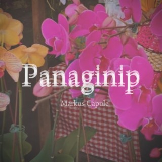 Panaginip