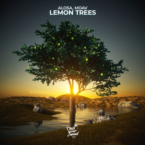 Lemon Trees ft. Moav | Boomplay Music