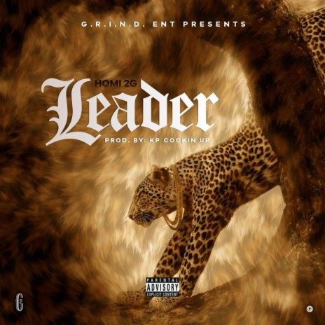 Leader | Boomplay Music