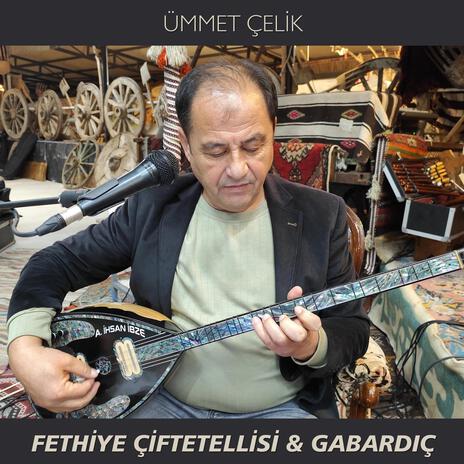 Fethiye Çiftetellisi & Gabardıç | Boomplay Music