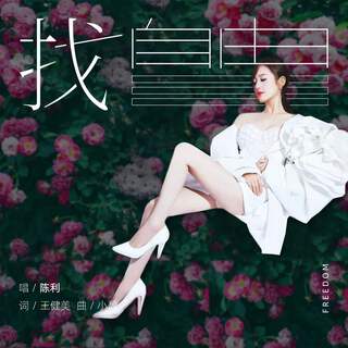 找自由 (伴奏) lyrics | Boomplay Music