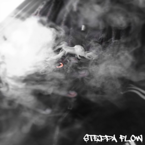 Steppa Flow | Boomplay Music