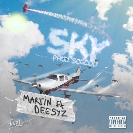 SKY ft. Deesyz & Martin | Boomplay Music