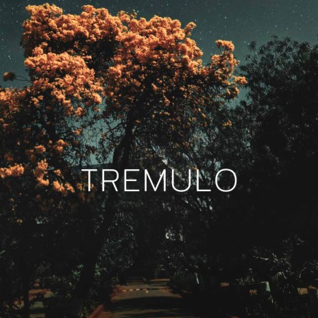 Trémulo ft. DJ Ritmo | Boomplay Music