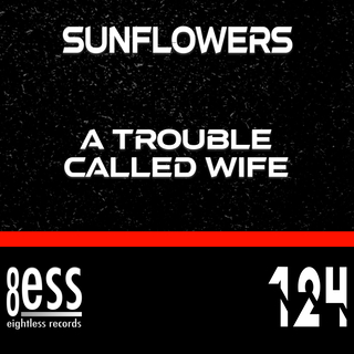 A Trouble Called Wife