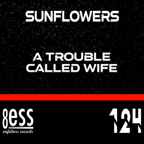 A Trouble Called Wife | Boomplay Music