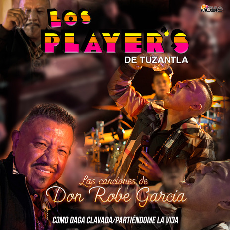 Las Canciones De Don Robe García (Como Daga Clavada/Partiéndome La Vida) | Boomplay Music