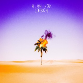 High vom Leben lyrics | Boomplay Music