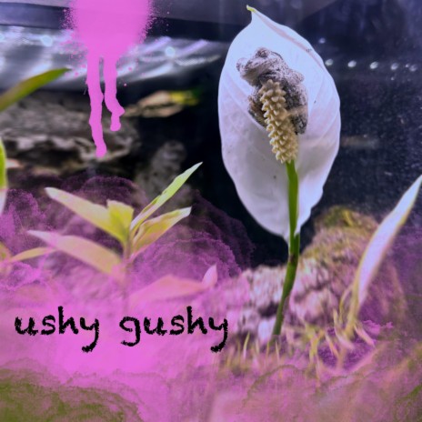 ushy gushy | Boomplay Music