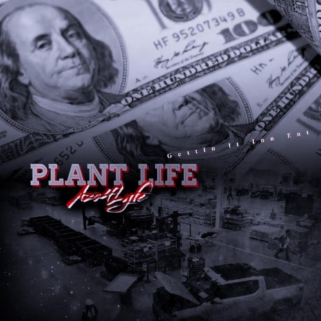 Plant Life | Boomplay Music