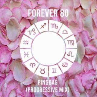 Pingbag (Progressive Mix)
