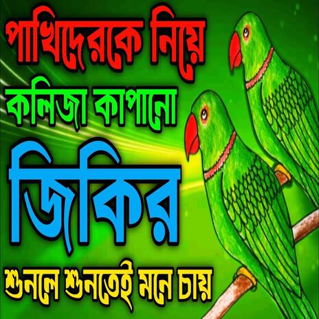 পাখিদেরকে নিয়ে কলিজা কাঁপানো জিকির ll New jikir #best #jikir #beautiful #jikir #chamatkar #jikir.. | Boomplay Music