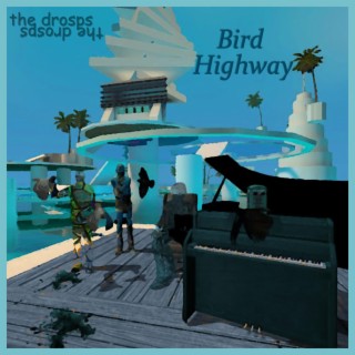 Bird Highway