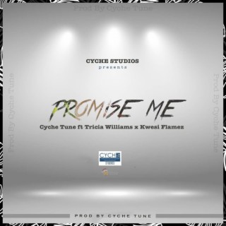 Promise Me ft. Tricia Williams & Kwesi Flamez lyrics | Boomplay Music