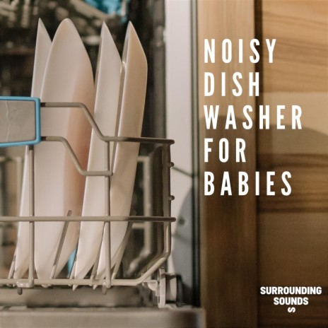 Noisy Dishwasher for Sleep