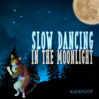 Slow Dancing in the Moonlight lyrics | Boomplay Music