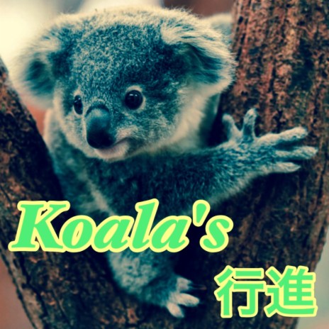Koala's March | Boomplay Music