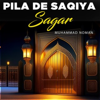 Pila De Saqiya Sagar