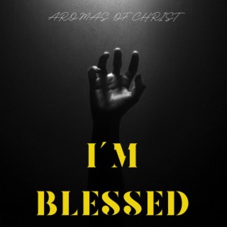 I'm blessed lyrics | Boomplay Music