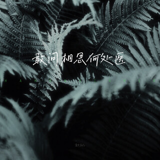 敢问相思何处医（合唱版） ft. 含大仙儿 lyrics | Boomplay Music