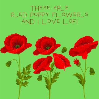 These Are Red Poppy Flowers and i Love Lofi