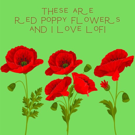 These Are Red Poppy Flowers and i Love Lofi | Boomplay Music