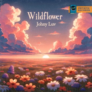 Wildflower