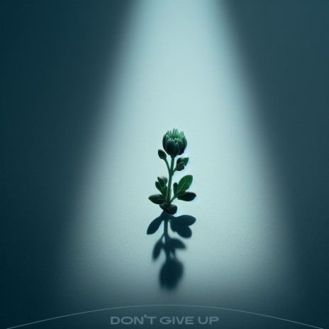 Don't Give Up | Boomplay Music