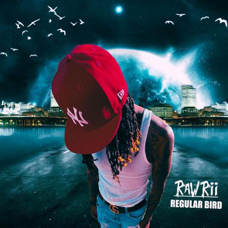 Regular Bird | Boomplay Music