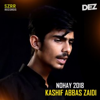 Kashif Abbas Zaidi