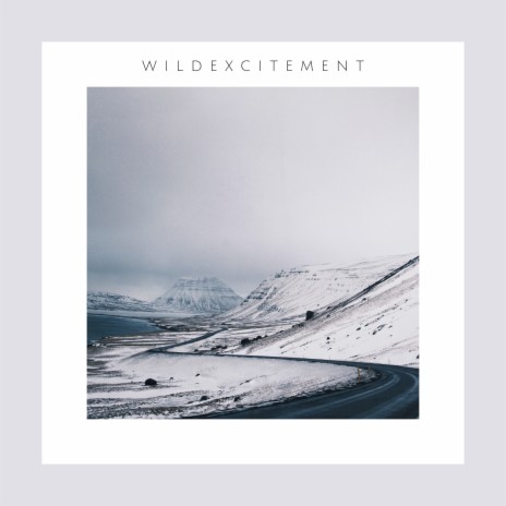 Wild Excitement | Boomplay Music