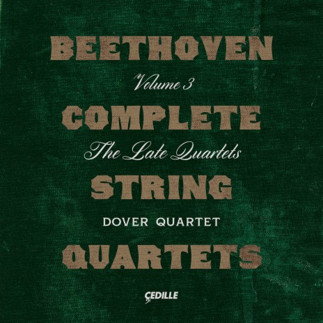 String Quartet No. 13 in B-Flat Major, Op. 130: IV. Alla danza tedesca. Allegro assai | Boomplay Music