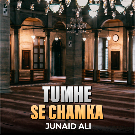 Tumhe Se Chamka | Boomplay Music