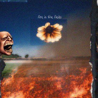 Fire In the Fields