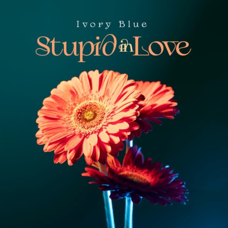 Stupid in Love | Boomplay Music