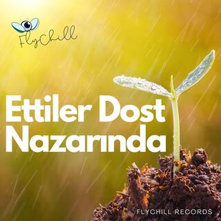 Ettiler Dost Nazarında