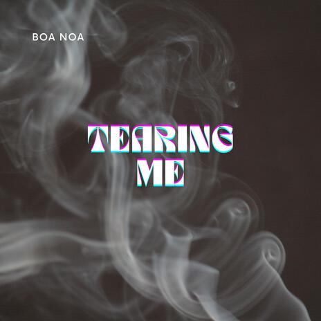 Tearing Me (Extended Mix) | Boomplay Music