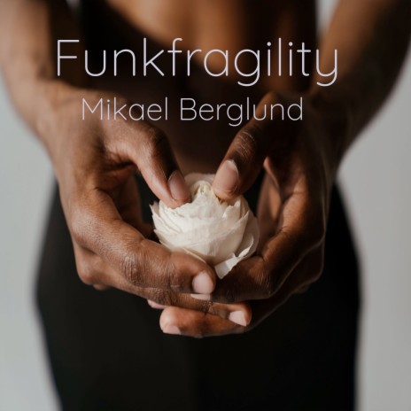 Funkfragility | Boomplay Music