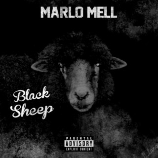 Black Sheep