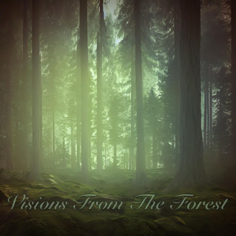 Visions From The Forest | Boomplay Music