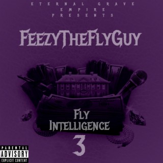 Fly Intelligence 3