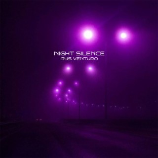 Night Silence